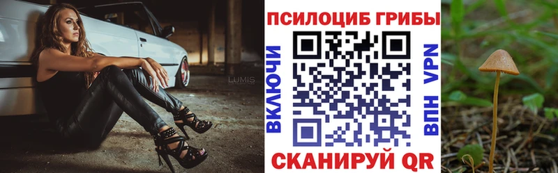 Галлюциногенные грибы прущие грибы KRAKEN зеркало Оленегорск